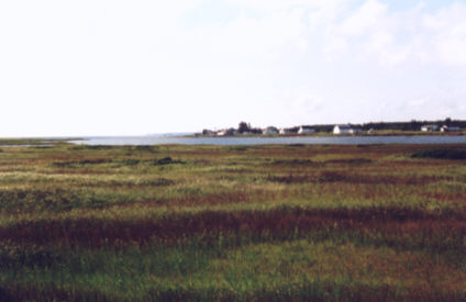 Bouctouche