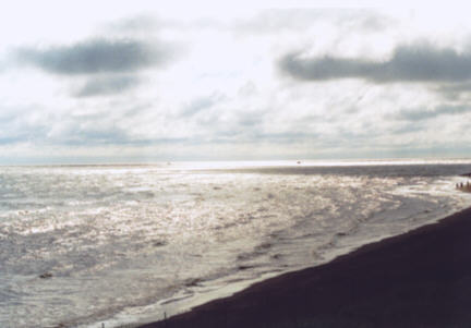 La dune de Bouctouche