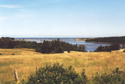 Margaree Harbour