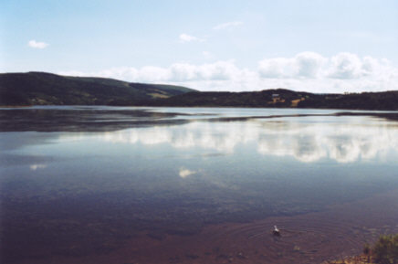 Margaree Harbour