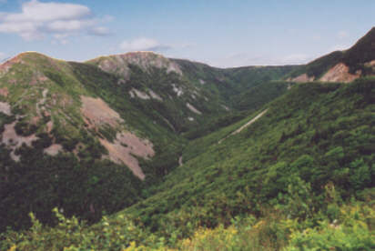 La vallée de la rivière McKenzie