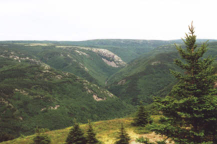 Le Parc National des Hautes-Terres-du-Cap-Breton