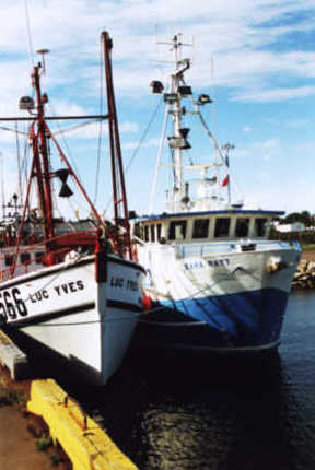 Le port de Caraquet
