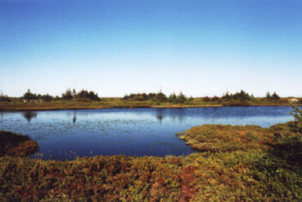 Tourbires naturelles