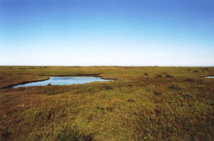 Tourbires naturelles