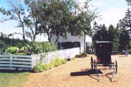 Green Gables