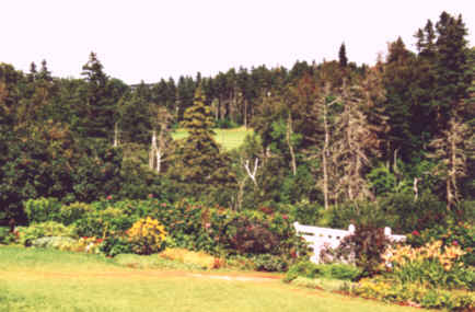 Green Gables