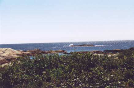 Peggy's Cove