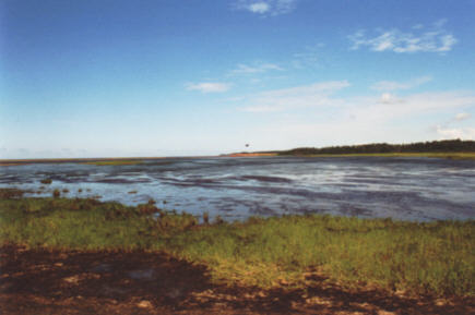 Point Prim