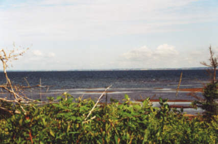 Point Prim