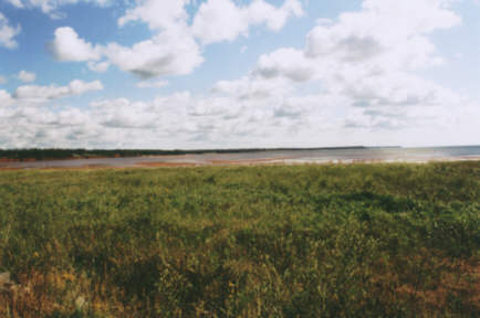 Wood Islands