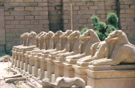 Karnak : les sphinx du dromos