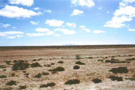 La Skeleton Coast