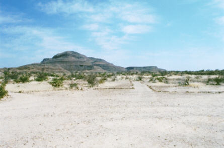 Petrified Forest