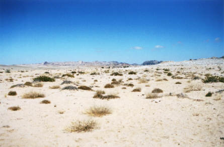 Le désert du Namib