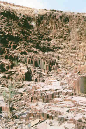 Organ Pipes