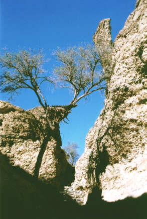 Le Canyon de Sesriem