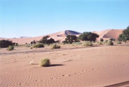 Région de Sossusvlei