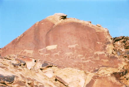 Gravures pariétales à Twyfelfontein