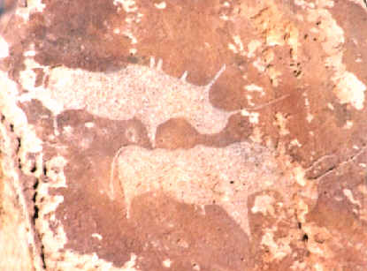 Twyfelfontein : rhinocéros