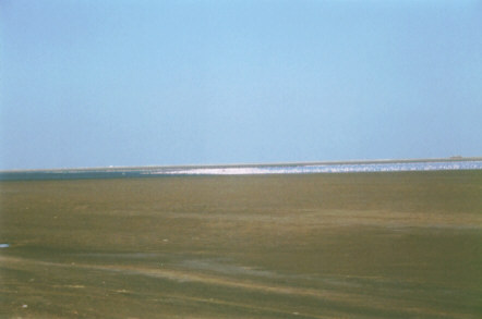 Walvis Bay