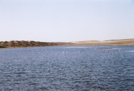 Walvis Bay