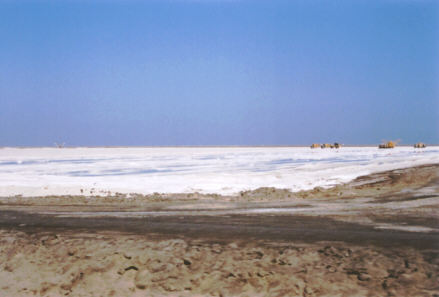 Walvis Bay : les salines