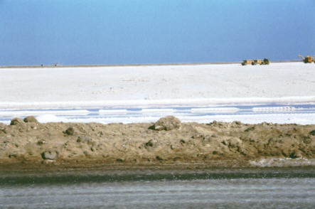 Salines